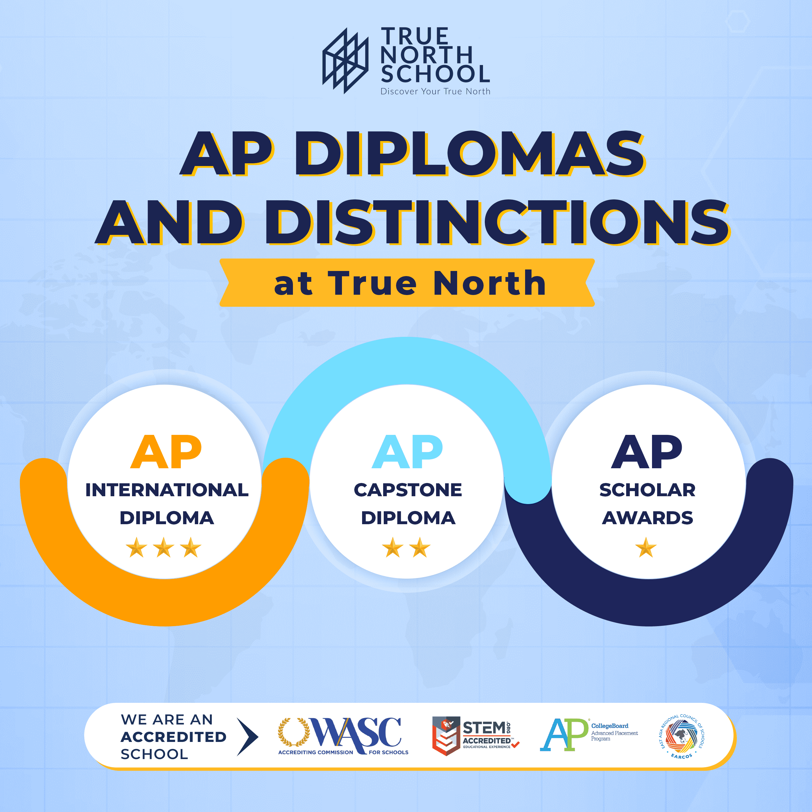 AP1 (1).png